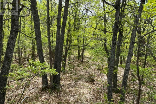 0 Wales Drive, Madawaska Valley, ON K0J1B0 Photo 4