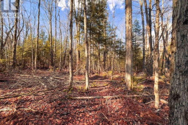 0 Weismuller Lane, Bracebridge, ON, photo 2