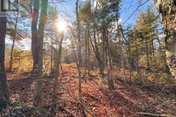 0 Weismuller Lane, Bracebridge, ON, photo 3