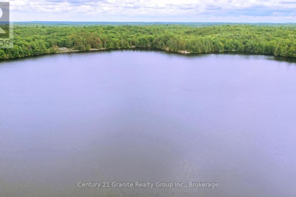 0 West Eels Lake Road, North Kawartha, ON K0L1A0 Photo 4