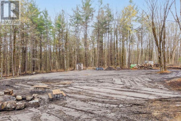 0 White's Road, Muskoka Lakes, ON P0B1J0 Photo 4