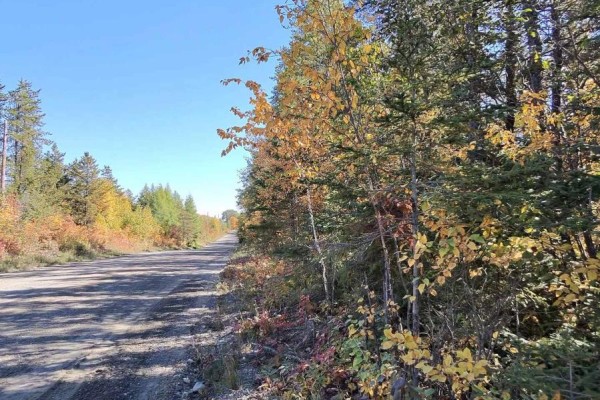 0 Wilson Road, Temiskaming Shores, ON P0J1P0 Photo 3