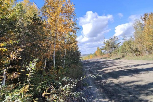 0 Wilson Road, Temiskaming Shores, ON P0J1P0 Photo 4
