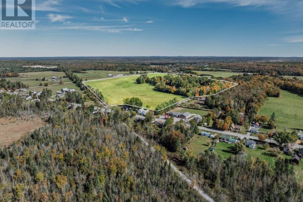 0 Woodfield Drive, Kawartha Lakes, ON K0M1C0 Photo 2