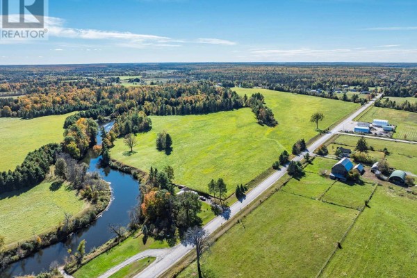 0 Woodfield Drive, Kawartha Lakes, ON K0M1C0 Photo 4