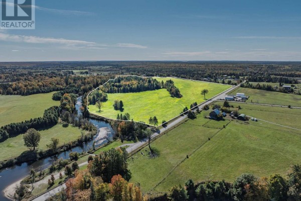 0 Woodfield Drive, Kawartha Lakes, ON K0M1C0 Photo 5