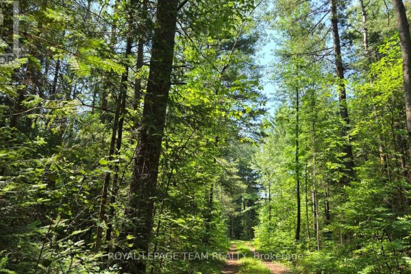 00 (31253) Highway 41 Highway, Bonnechere Valley, ON K0J1T0 Photo 4
