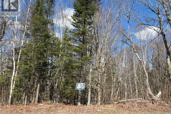 00-2 Reardon Road, Elmsville, NB E5A0B5 Photo 4