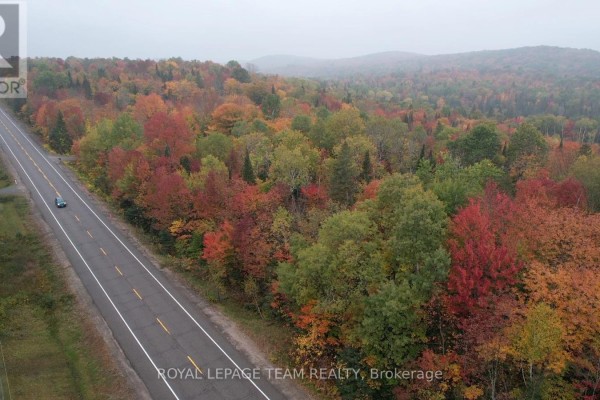 Aerial view of a paved highway winding through a forest with vibrant autumn leaves on the trees. - 00 62 Highway, Hastings Highlands