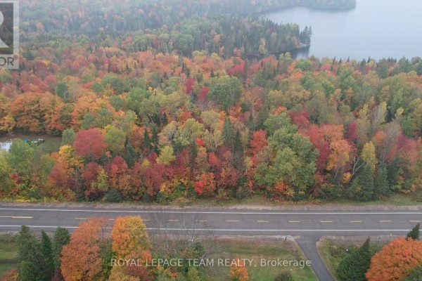 Aerial view of a treed property line adjacent to a rural highway and a calm body of water. - 00 62 Highway, Hastings Highlands