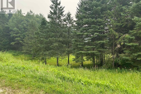 Pt Lt 66 Part 1 Airport Road, Brockton, ON N0G2V0 Photo 4