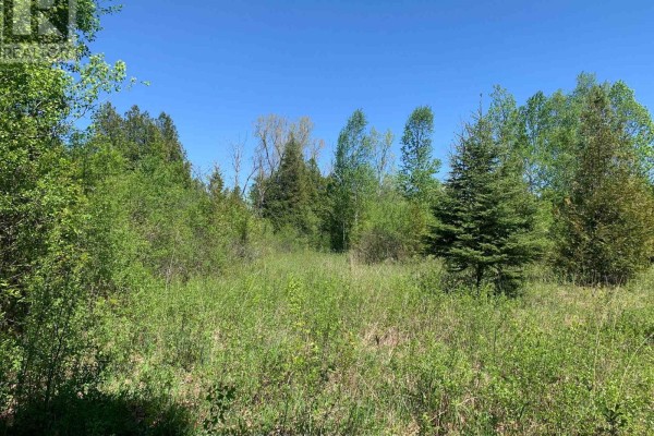 00 Bolton Road, Merrickville Wolford, ON K0G1R0 Photo 5