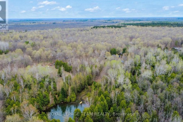 Wooded property line with mature trees and underbrush alongside a paved road. - 00 Bolton Road, North Grenville