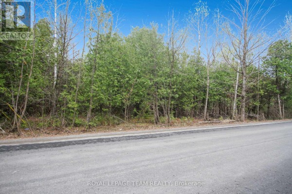 View of a tree-lined lot with mixed deciduous and coniferous trees on a bright day. - 00 Bolton Road, North Grenville