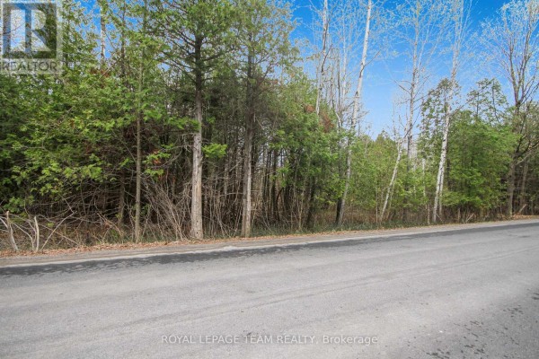 Long stretch of paved road bordered by a dense forest with various tree types. - 00 Bolton Road, North Grenville
