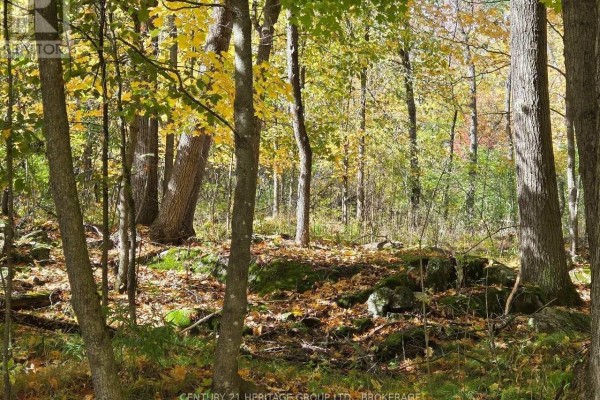 00 Burnt Hills Road, Frontenac, ON K0H1H0 Photo 3