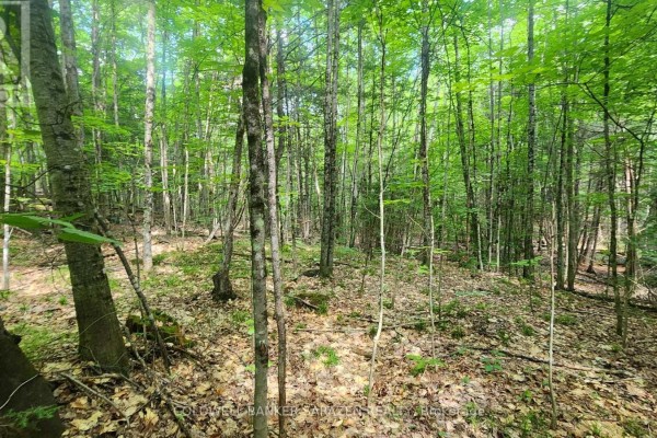 00 Canaan Road, Mcnab/braeside, ON, photo 2
