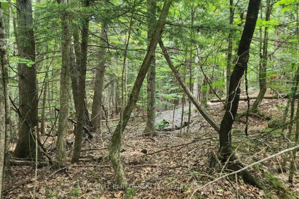 00 Canaan Road, Mcnab/braeside, ON, photo 3