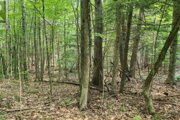 00 Canaan Road, Mcnab/braeside, ON K7V3Z4 Photo 4