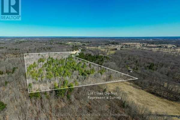 00 Con11 Pine Grove Road, Greater Napanee, ON K0K2L0 Photo 3