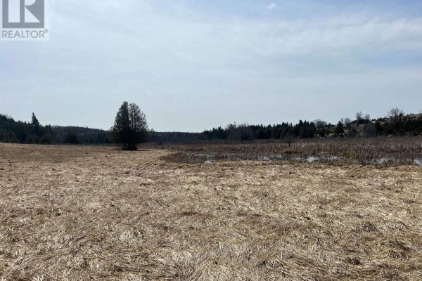 00 Concession Road 13 E, Trent Hills, ON, photo 2