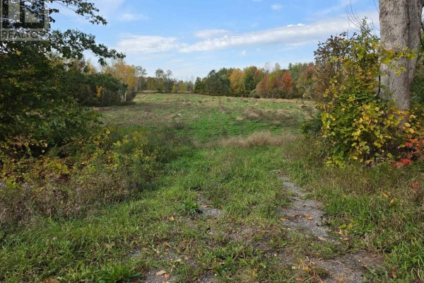 00 County Road 42 Road, Asphodel Norwood, ON K0L1Z0 Photo 4