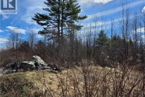 00 Crest Avenue, Heathland, NB E3L5C1 Photo 2