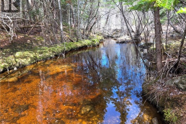 00 Crest Avenue, Heathland, NB E3L5C1 Photo 3
