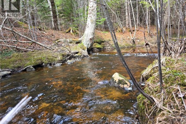 00 Crest Avenue, Heathland, NB E3L5C1 Photo 4