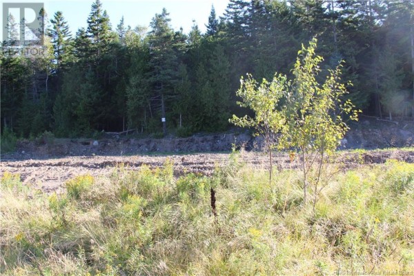 00 Drury Cove Road, Saint John, NB, photo 3