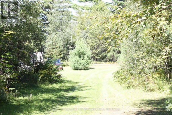 00 East Road, Lake Of Bays, ON P0B1A0 Photo 2