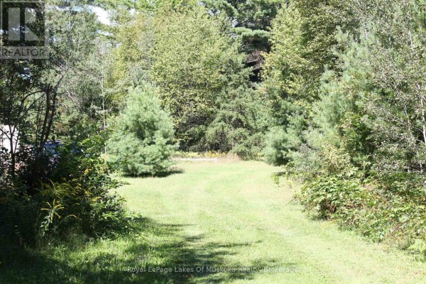 00 East Road, Lake Of Bays, ON P0B1A0 Photo 3