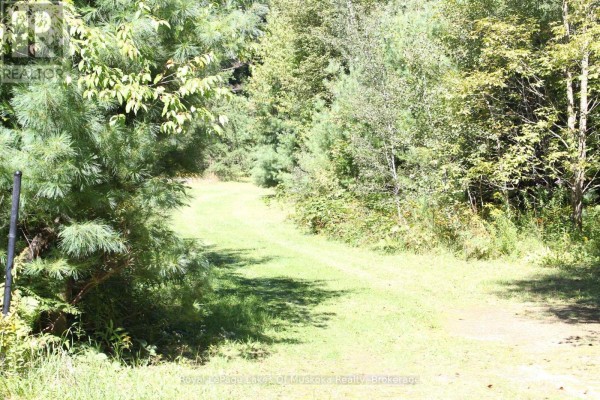 00 East Road, Lake Of Bays, ON P0B1A0 Photo 4