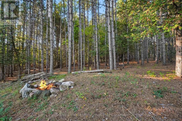 00 Fallbrook Road, Tay Valley, ON K0G1A0 Photo 5