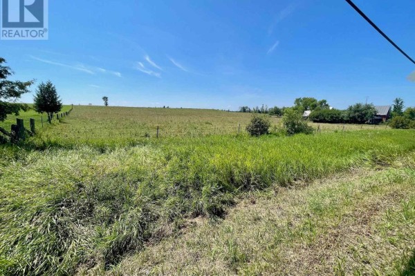 Wide shot of a grassy field with scattered bushes and a few trees, bordering a rural road. - 00 Foresters Falls Road, Whitewater Region