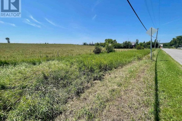 Green field with a drainage ditch in the foreground leading towards buildings and a paved road under a clear blue sky. - 00 Foresters Falls Road, Whitewater Region