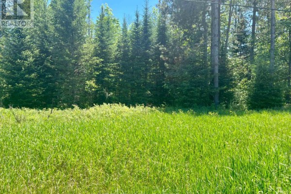 00 Foymount Road, Bonnechere Valley, ON, photo 3