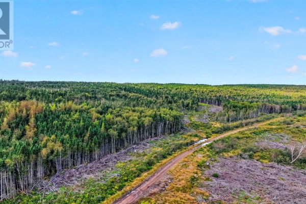 00 Georges Brook Access Road, Georges Brook, NL A0C1A0 Photo 2