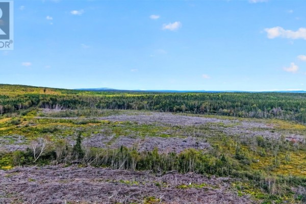00 Georges Brook Access Road, Georges Brook, NL A0C1A0 Photo 3