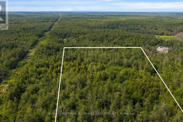 00 Germania Road, Bracebridge, ON P1P1R3 Photo 4