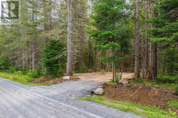 00 Gibbons Road, Strong, ON, photo 2