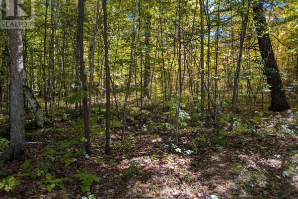 00 Highway 15 Road, Rideau Lakes, ON, photo 3