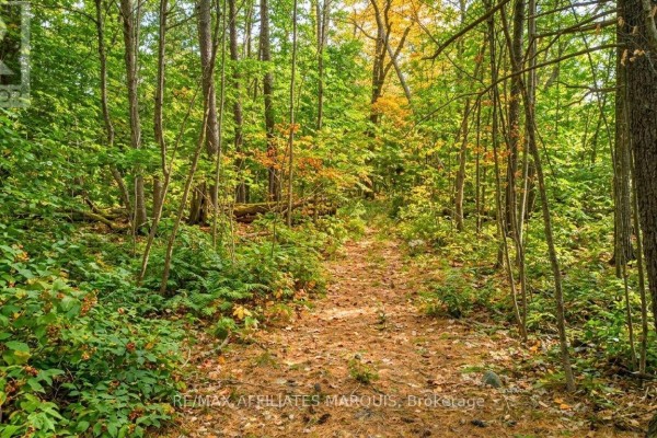00 Highway 15 Road, Rideau Lakes, ON K0G1E0 Photo 4