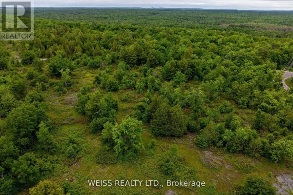 00 Hwy 47, Havelock Belmont Methuen, ON K0L1Z0 Photo 4