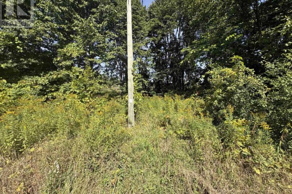 00 Ingham Road (lot 2 - East), Alnwick/haldimand