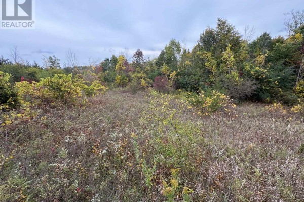00 Ingham Road (lot 2 - East), Alnwick/haldimand, ON, photo 2
