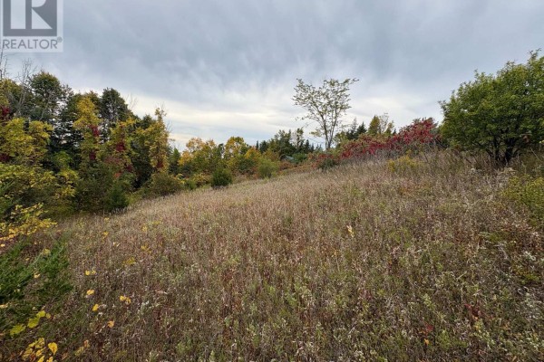 00 Ingham Road (lot 2 - East), Alnwick/haldimand, ON, photo 3