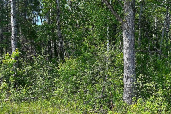 00 Johnston Road, Horton, ON K7V3Z8 Photo 4