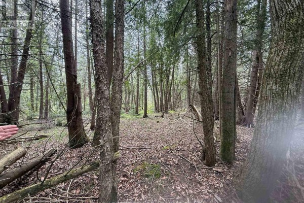 00 Kenyon Road, North Glengarry, ON K0C1A0 Photo 4
