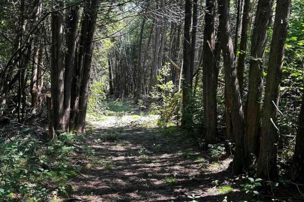 Lots and Land for sale at 00 Kerford Road, Merrickville Wolford, ON - MLS® dk19s1